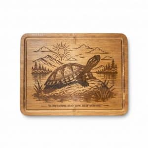 Turtle Lake Display Board